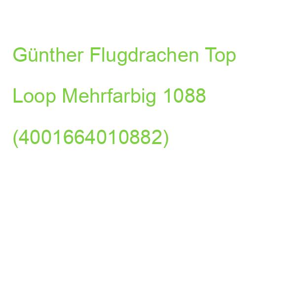 Günther Flugdrachen Top Loop Mehrfarbig 1088 (4001664010882)