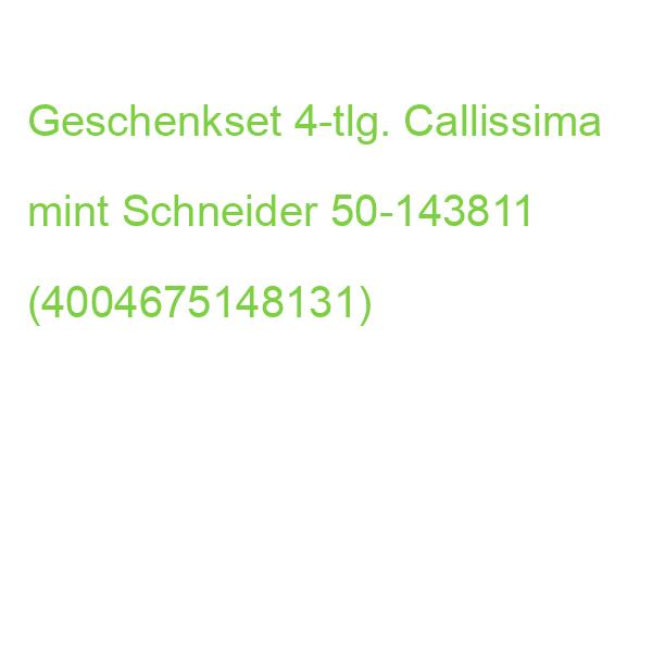 Geschenkset Callissima 4-tlg. mint SCHNEIDER 50-143811 (4004675148131)