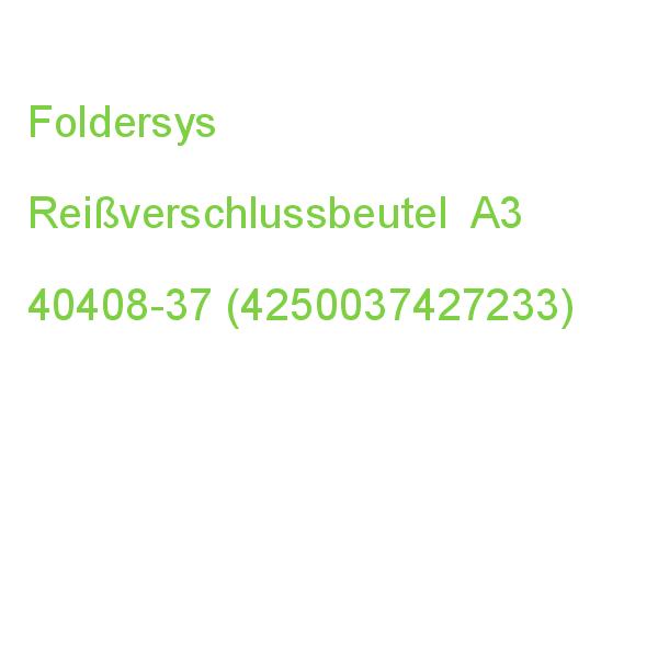 Foldersys Reißverschlussbeutel Transparent/grau 0,15 Mm, 1 St. 40408-37 (4250037427233)