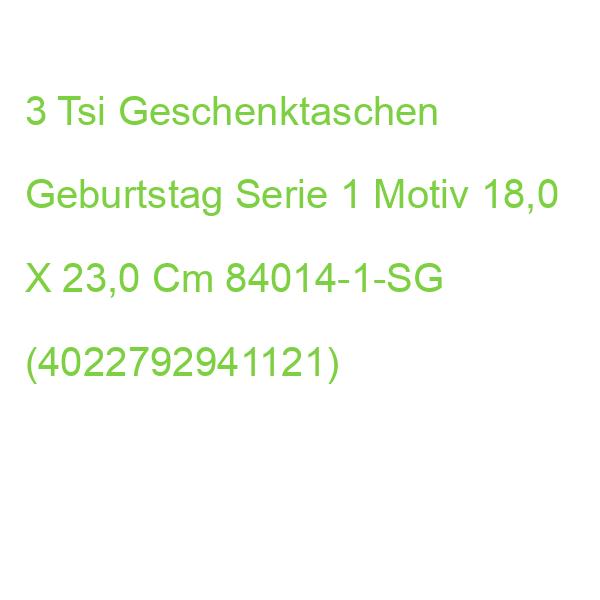 3 Tsi Geschenktüten Geburtstag Serie 1 Motiv 18,0 X 23,0 Cm 84014-1-SG (4022792941121)