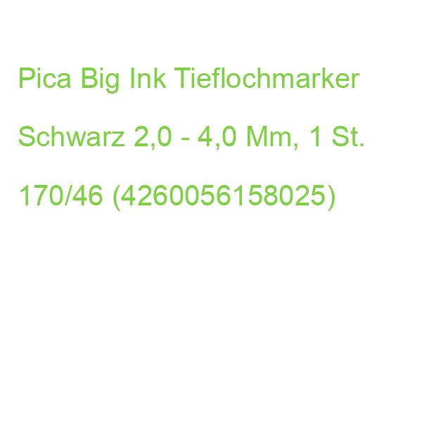 Pica Big Ink 170/46 Tieflochmarker Schwarz 2,0 - 4,0 Mm, 1 St. (4260056158025)