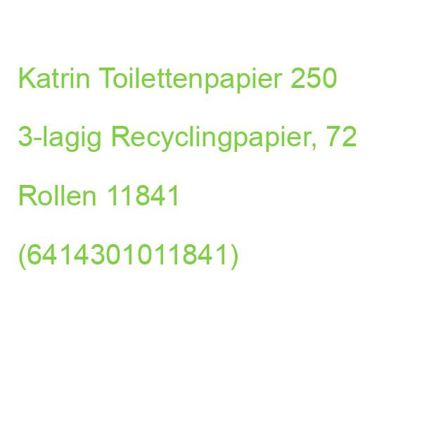 Katrin Toilettenpapier 250 3-lagig Recyclingpapier, 72 Rollen 11841 (6414301011841)