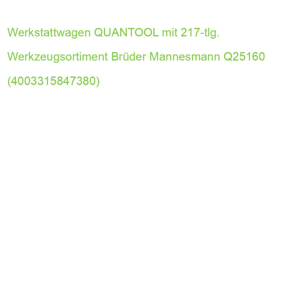 Werkstattwagen QUANTOOL mit 217-tlg. Werkzeugsortiment Brüder Mannesmann Q25160 (4003315847380)
