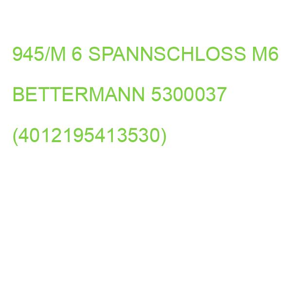 945/M 6 SPANNSCHLOSS M6 BETTERMANN 5300037 (4012195413530)