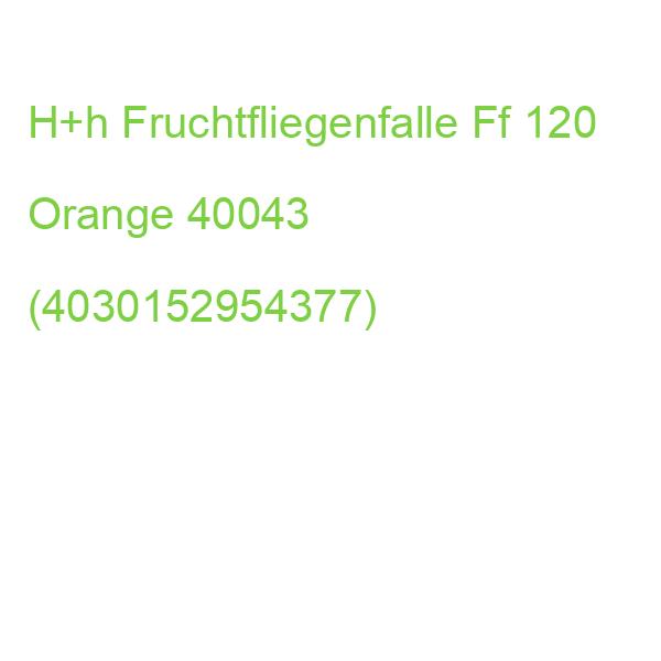 H+h Fruchtfliegenfalle Ff 120 Orange 40043 (4030152954377)