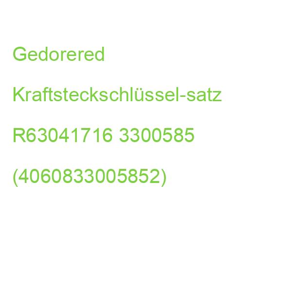 Gedorered Kraftsteckschlüssel-satz R63041716 3300585 (4060833005852)