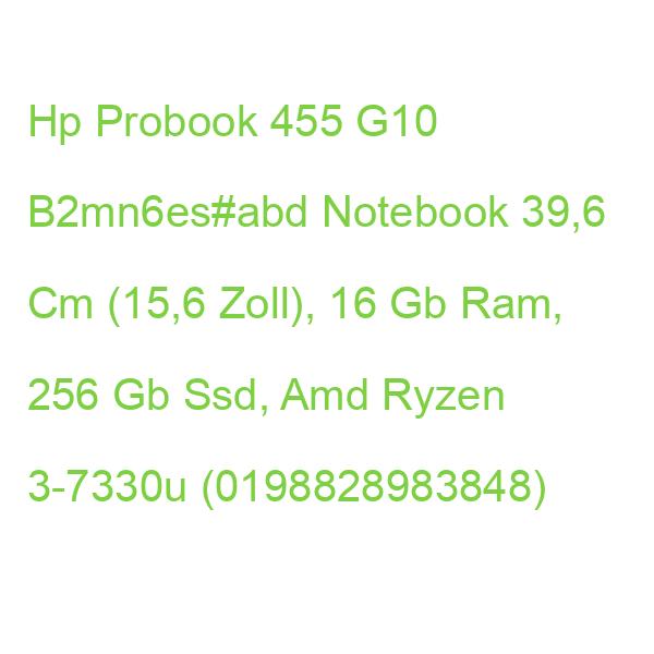 Hp Probook 455 G10 B2mn6es#abd Laptop 39,6 Cm (15,6 Zoll), 16 Gb Ram, 256 Gb Ssd, Amd Ryzen 3-7330u (0198828983848)