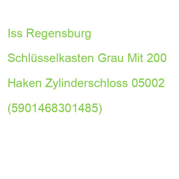 Iss Regensburg Schlüsselkasten Grau Mit 200 Haken Zylinderschloss 05002 (5901468301485)