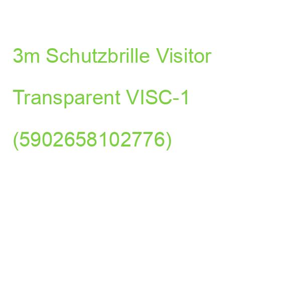 3m Schutzbrille Visitor Transparent VISC-1 (5902658102776)