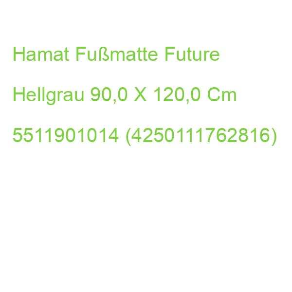 Hamat Fußmatte Future Hellgrau 90,0 X 120,0 Cm 5511901014 (4250111762816)