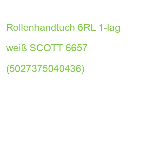 Rollenhandtuch Slimroll 1-lagig weiß 6 Rollen a 165 m SCOTT 6657 (5027375040436)