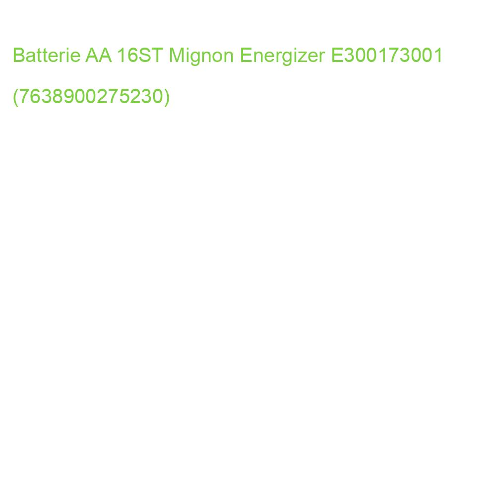 Batterie Alkaline Power Mignon (AA) 16 Stück Energizer E300173001 (7638900436402)