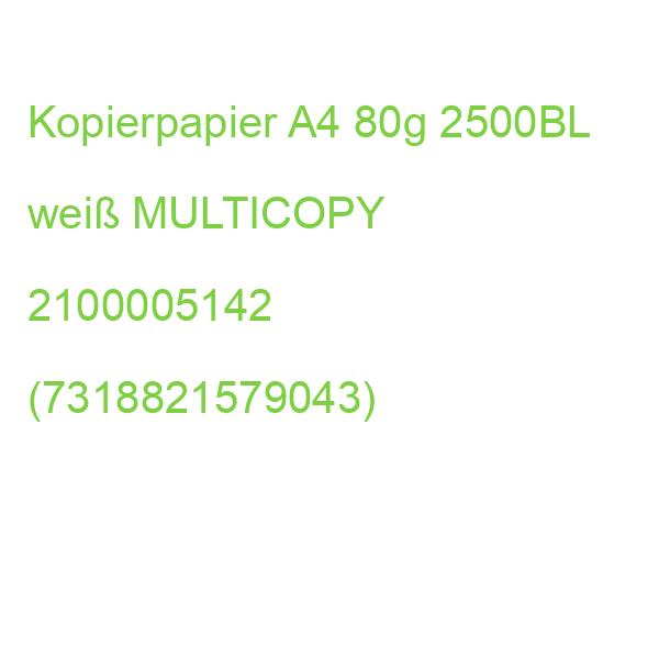 Premiumpapier A4, 80 g qm hochweiß 2500 Blatt ungeriest MULTICOPY 663842 (7318821579043)