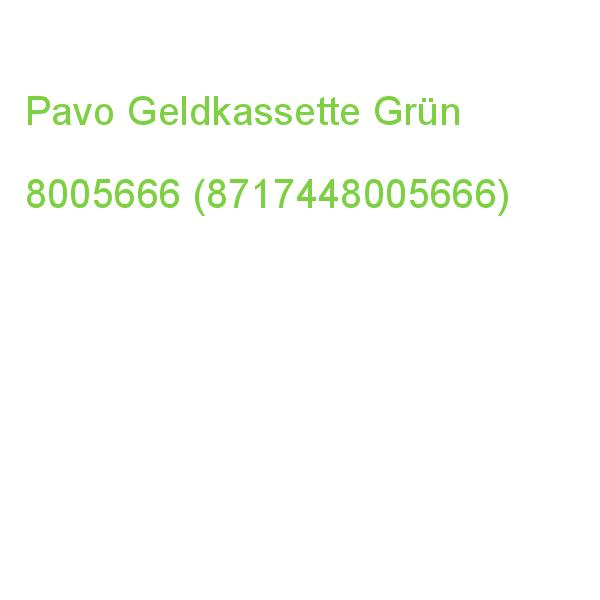 Pavo Geldkassette 8005666 Grün (8717448005666)