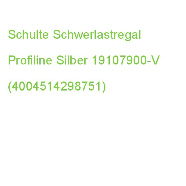 Schulte Schwerlastregal Profiline 19107900-v Silber 100,0 X 40,0 X 190,0 Cm (4004514298751)