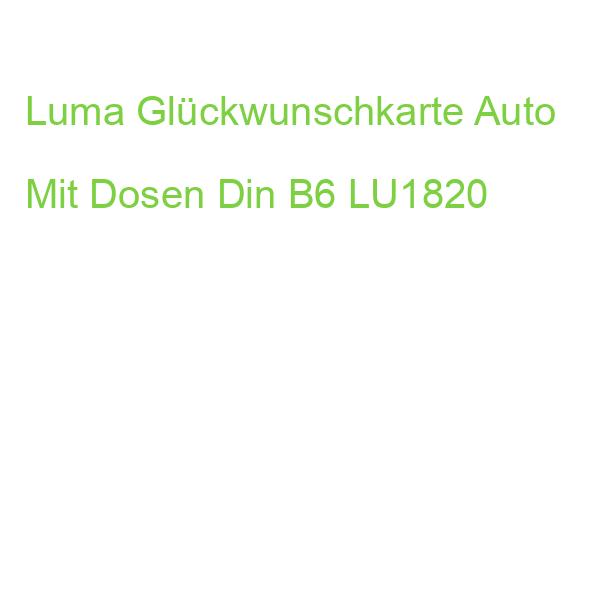 Luma Glückwunschkarte Hochzeit Auto Mit Dosen Din B6 LU1820