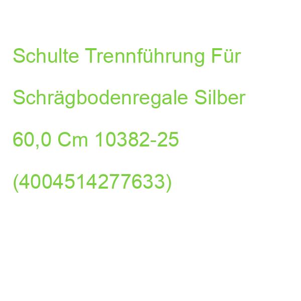 Schulte Trennführung Für Schrägbodenregale Silber 60,0 Cm 10382-25 (4004514277633)