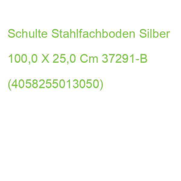 Schulte Stahlfachboden Silber 100,0 X 25,0 Cm 37291-B (4058255013050)