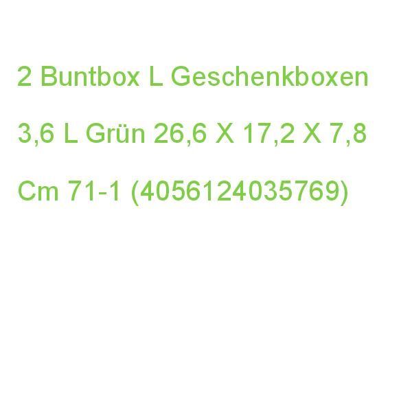 2 Buntbox L Geschenkboxen 3,6 L Grün 26,6 X 17,2 X 7,8 Cm 71-1 (4056124035769)
