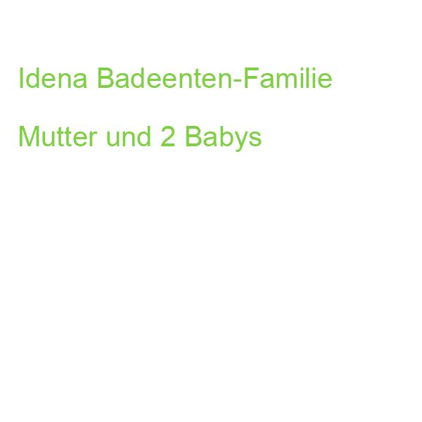 Idena Badeenten Familie Mutter + 2 Babys 3 Stück