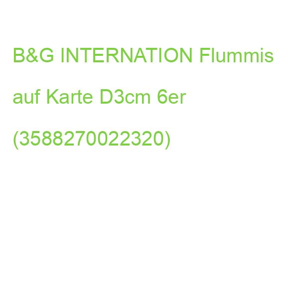 B&G Flummis Balles Rebond 6 Stück Blister (3588270022320)