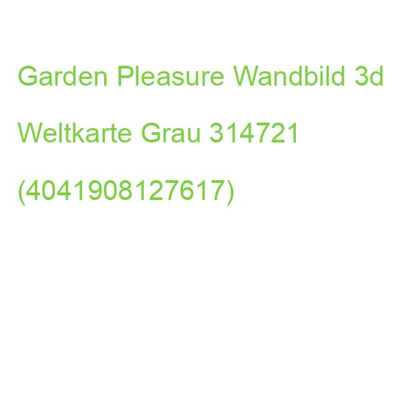 Garden Pleasure Wandbild 3d Weltkarte Grau, Metall 314721 (4041908127617)