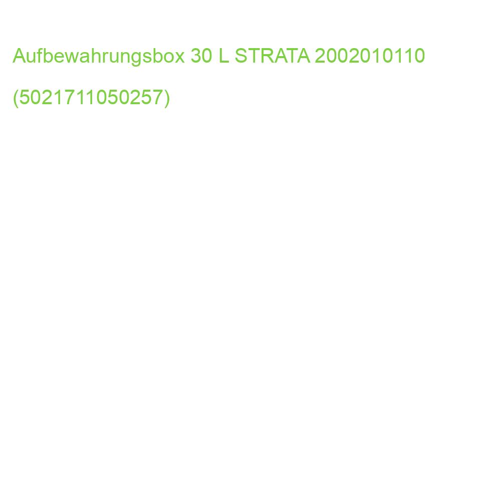 Curve Aufbewahrungsbox XW 201 30 L STRATA 2002010110 (5021711050257)