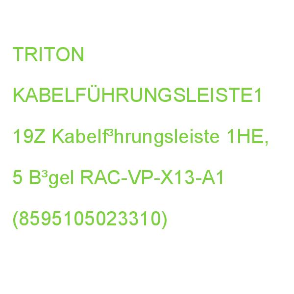 19Z Kabelführleiste Bügel TRITON KABELFÜHRUNGSLEISTE1 Kabelf³hrungsleiste 1HE, 5 B³gel RAC-VP-X13-A1 (8595105023310)