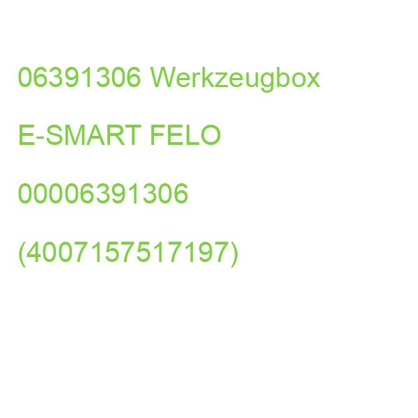 06391306 Werkzeugbox E-SMART FELO 00006391306 (4007157517197)