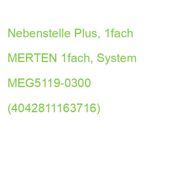 Nebenstelle Plus, 1fach MERTEN 1fach, System MEG5119-0300 (4042811163716)