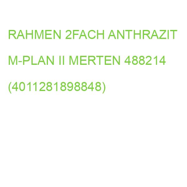 RAHMEN 2FACH ANTHRAZIT M-PLAN II MERTEN 488214 (4011281898848)