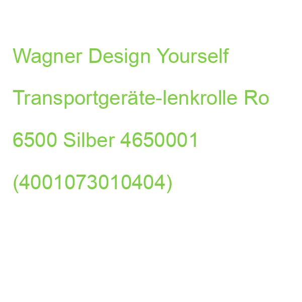 Wagner Design Yourself Transportgeräte-lenkrolle Ro 6500 Silber 4650001 (4001073010404)