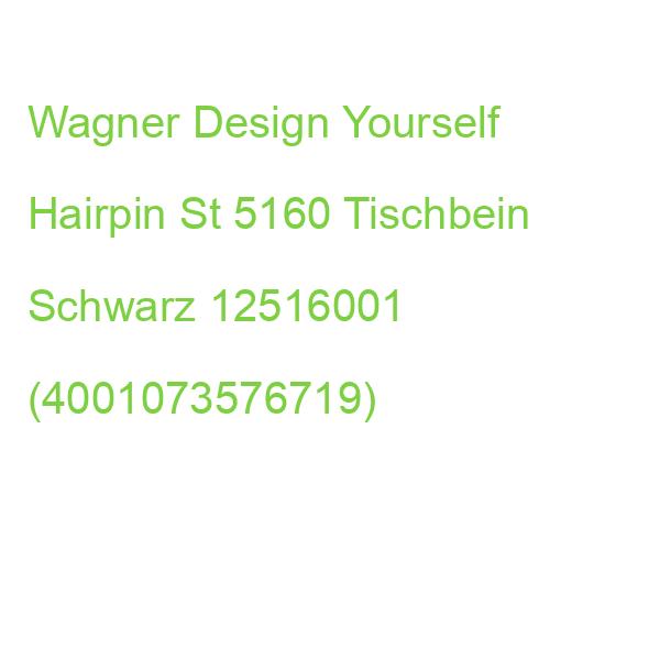 2 Wagner Design Yourself Hairpin St 5160 Tischbein Schwarz 12516001 (4001073576719)