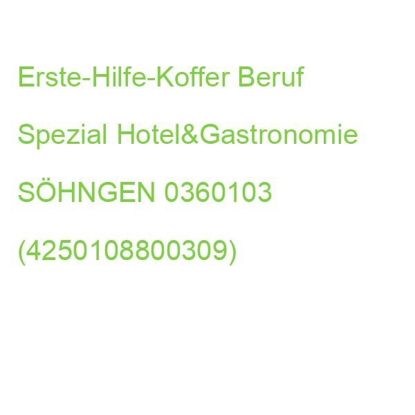 Erste-Hilfe-Koffer Beruf Spezial Hotel&Gastronomie SÖHNGEN 0360103 (4250108800309)