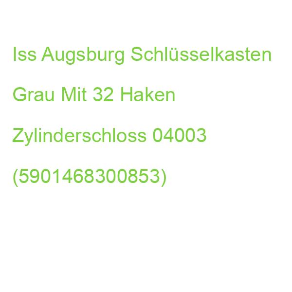 Iss Augsburg Schlüsselkasten Grau Mit 32 Haken Zylinderschloss 04003 (5901468300853)