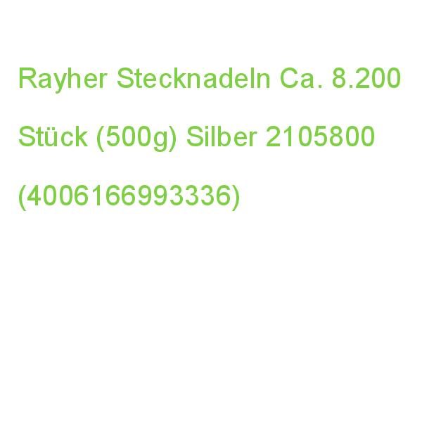 Rayher Stecknadeln Ca. 8.200 Stück (500g) Silber 2105800 (4006166993336)