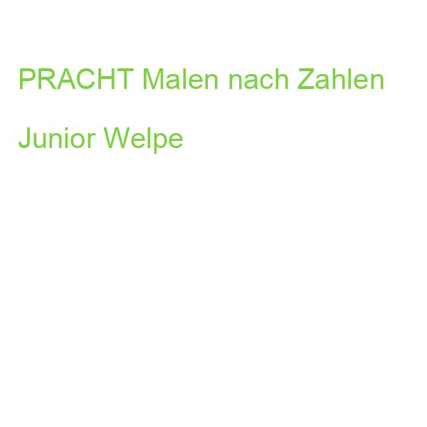 PRACHT Malen nach Zahlen Junior Welpe