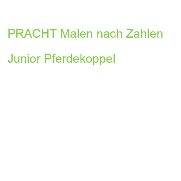PRACHT Malen nach Zahlen Junior Pferdekoppel