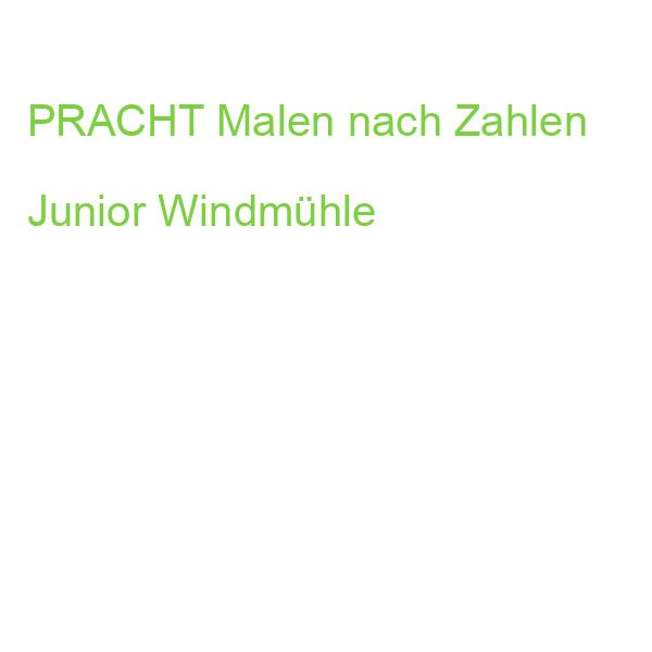 PRACHT Malen nach Zahlen Junior Windmühle