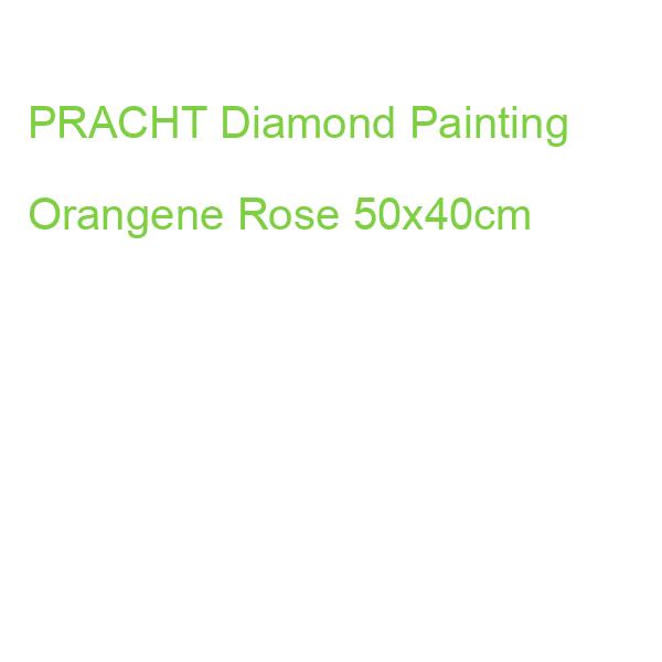 PRACHT Diamond Painting Orangene Rose 50x40cm