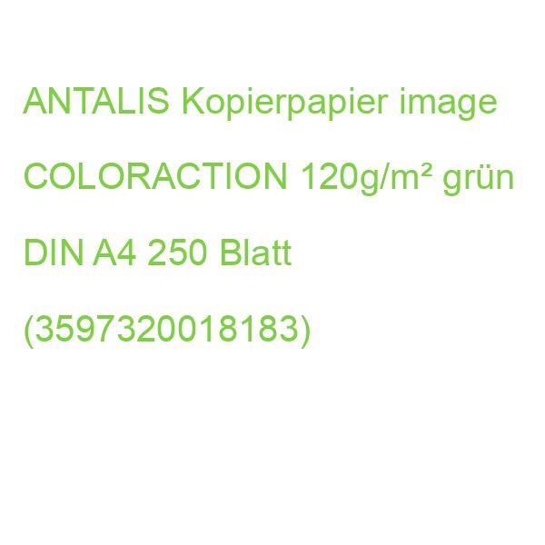 ANTALIS Kopierpapier image COLORACTION 120g/m² grün DIN A4 250 Blatt (3597320018183)