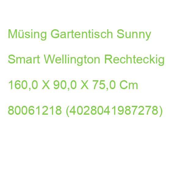 Sunny Smart Gartentisch Wellington Teakfarben Rechteckig 160,0 X 90,0 X 75,0 Cm 80061218 (4028041987278)