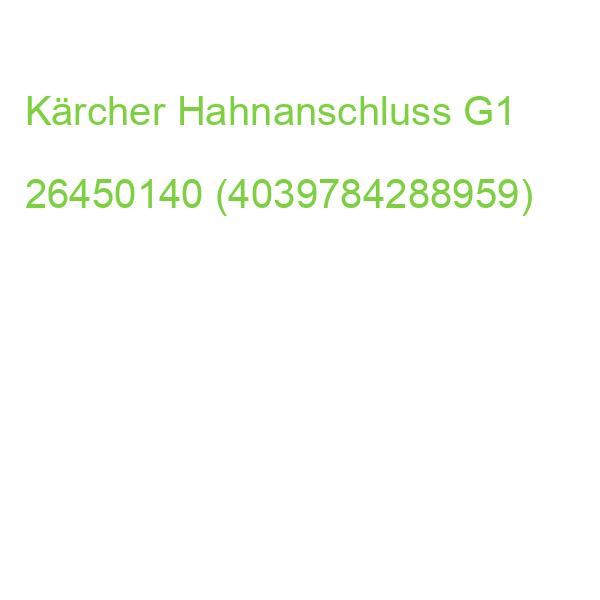 Kärcher Hahnanschluss G1 26450140 (4039784288959)