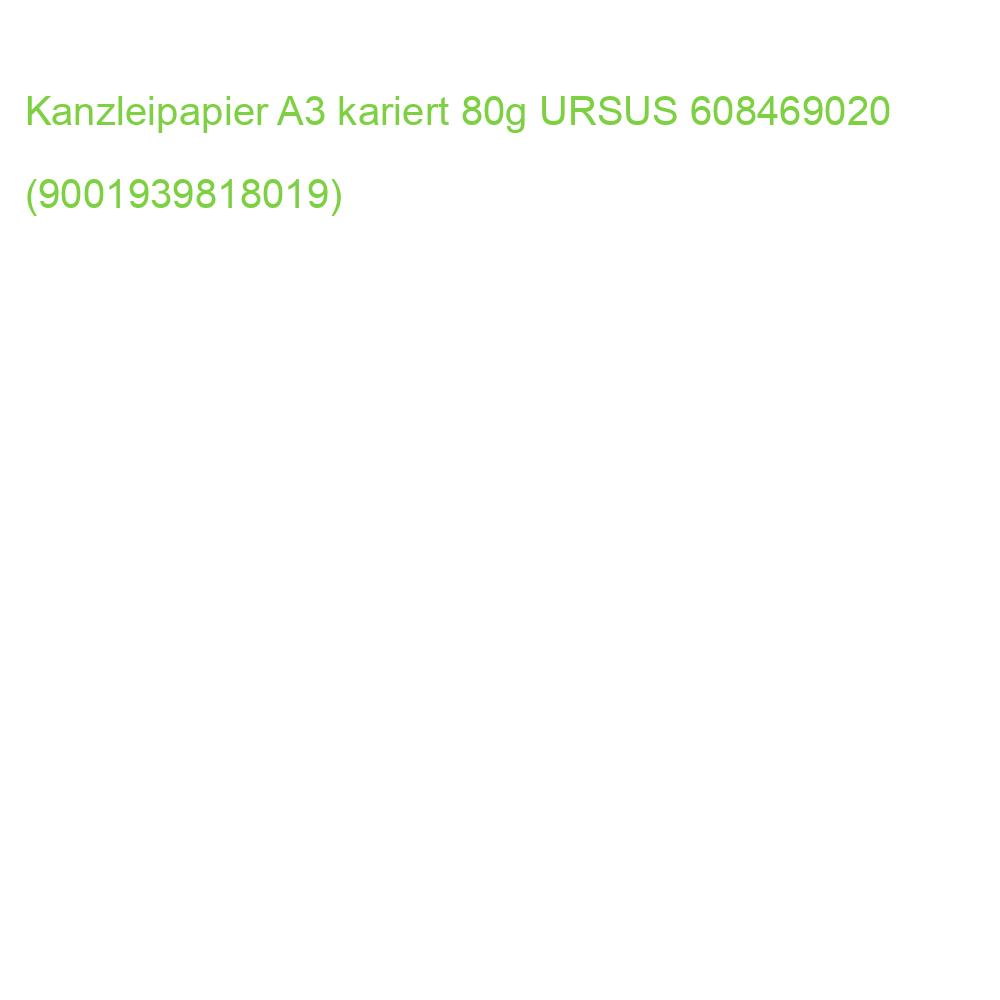 Kanzleipapier A3, 80 g qm kariert STAUFEN STYLE 608469020 (9001939818019)