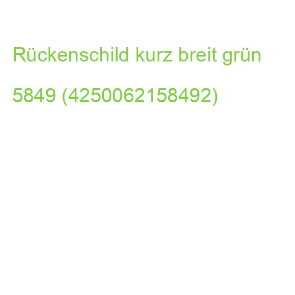 Ordnerrückenschilder breit kurz sk 10 Stück grün 5849 (4250062158492)