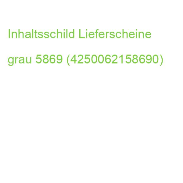 Inhaltsschilder Lieferscheine Beutel mit 100 Stück grau 5869 (4250062158690)