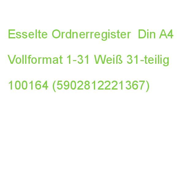 Esselte Ordnerregister Din A4 Vollformat 1-31 Farbig 31-teilig, 1 Satz 100164 (5902812221367)