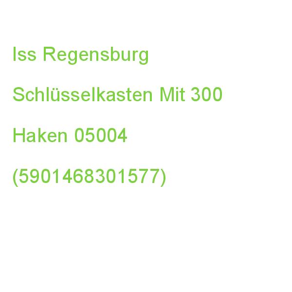 Iss Regensburg Schlüsselkasten Grau Mit 300 Haken Zylinderschloss 05004 (5901468301577)