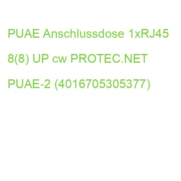 PUAE Anschlussdose 1xRJ45 8(8) UP cw PROTEC.NET PUAE-2 (4016705305377)