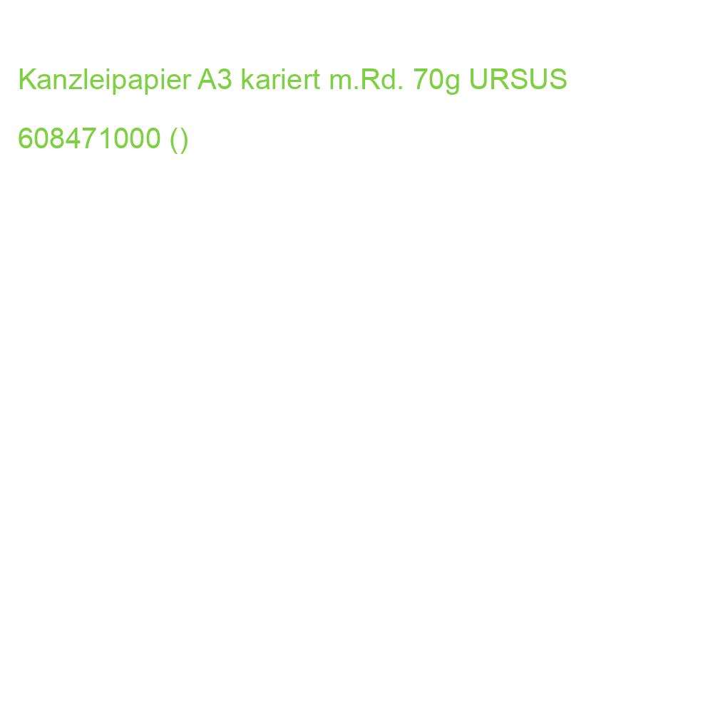 Kanzleipapier A3, 80 g qm kariert mit Rand STAUFEN STYLE 608471000 ()